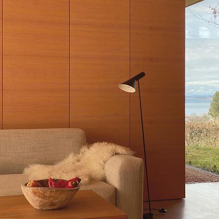 布雷根茨Haus Am Felsen, Ferien In Vorarlberger Architektur公寓 外观 照片