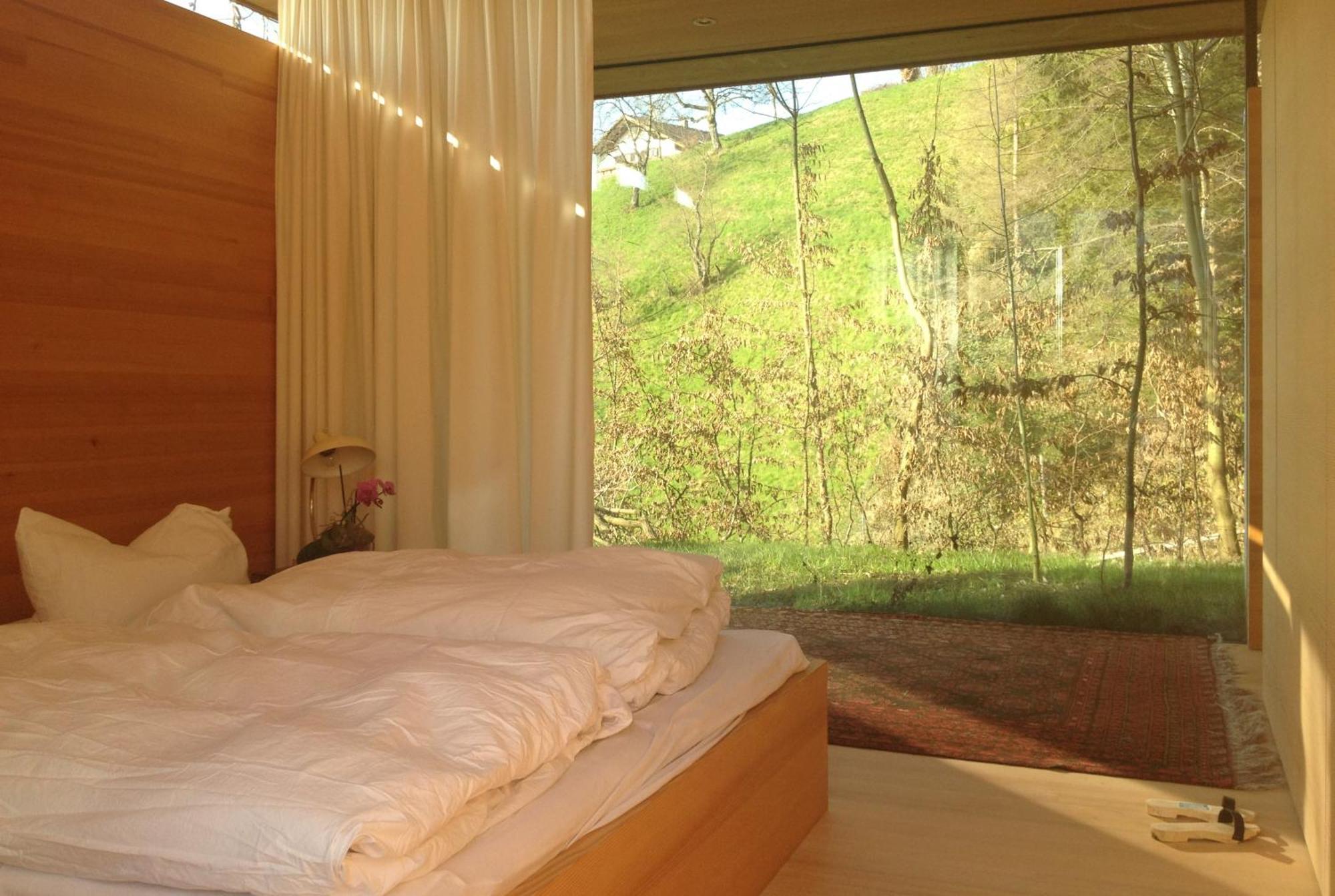 布雷根茨Haus Am Felsen, Ferien In Vorarlberger Architektur公寓 外观 照片