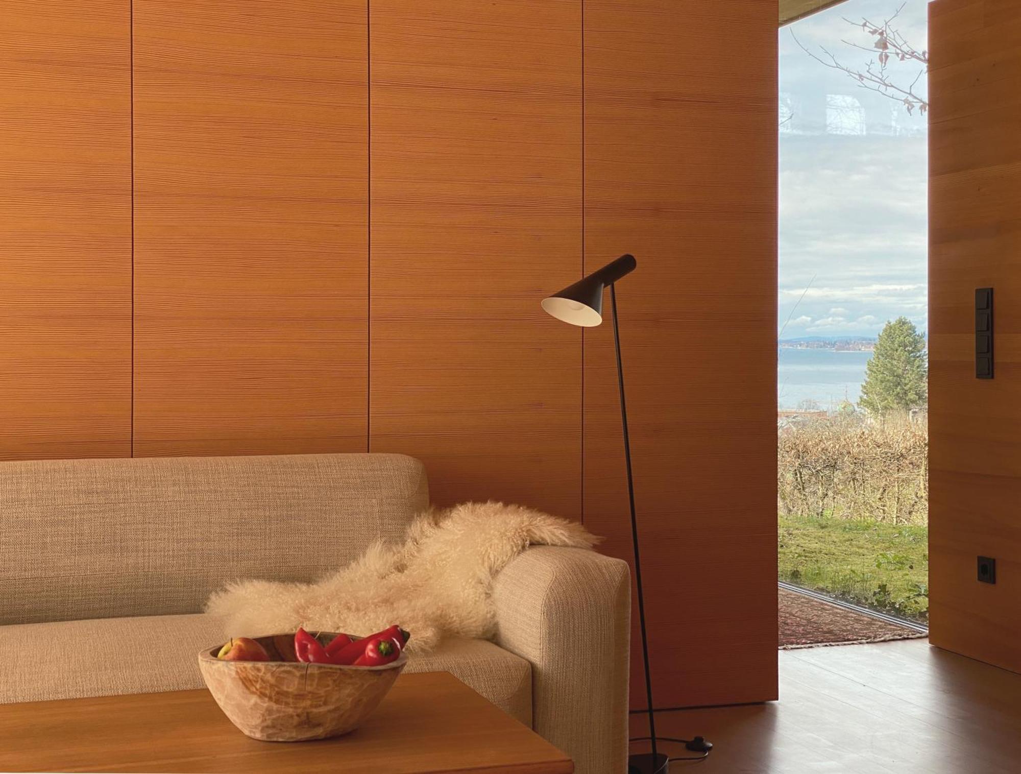布雷根茨Haus Am Felsen, Ferien In Vorarlberger Architektur公寓 外观 照片